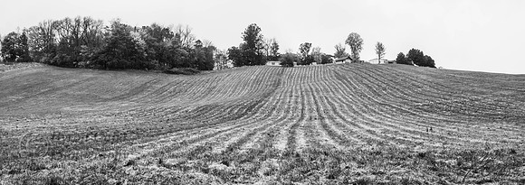DSC06440