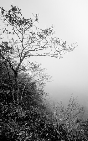 whiteside Mt
