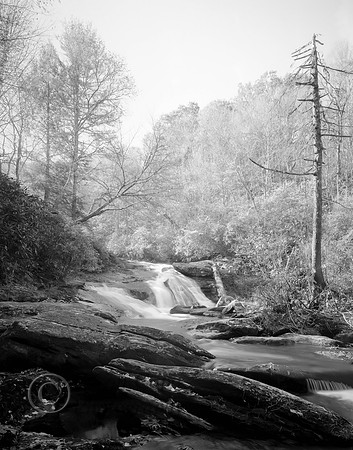 Bee Tree Falls