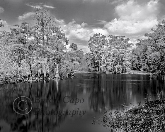 Fish Eating Creek (3)